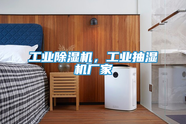 工業(yè)除濕機(jī)，工業(yè)抽濕機(jī)廠家