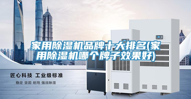 家用除濕機(jī)品牌十大排名(家用除濕機(jī)哪個(gè)牌子效果好)