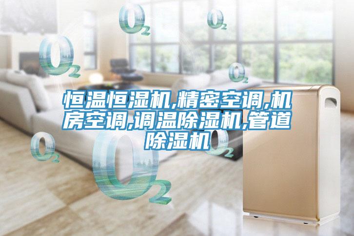 恒溫恒濕機,精密空調(diào),機房空調(diào),調(diào)溫除濕機,管道除濕機