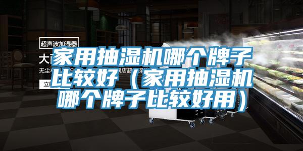 家用抽濕機(jī)哪個(gè)牌子比較好（家用抽濕機(jī)哪個(gè)牌子比較好用）