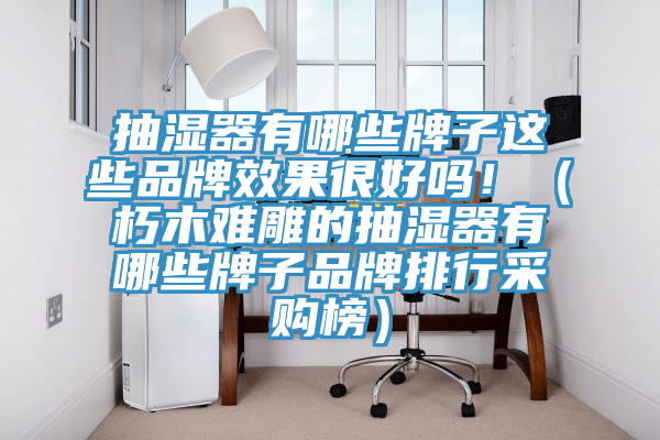 抽濕器有哪些牌子這些品牌效果很好嗎?。ㄐ嗄倦y雕的抽濕器有哪些牌子品牌排行采購榜）