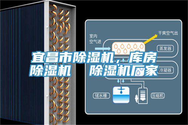 宜昌市除濕機(jī)，庫房除濕機(jī)  除濕機(jī)廠家