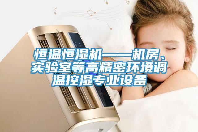 恒溫恒濕機——機房、實驗室等高精密環(huán)境調(diào)溫控濕專業(yè)設(shè)備
