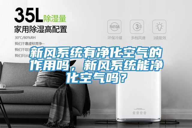 新風(fēng)系統(tǒng)有凈化空氣的作用嗎，新風(fēng)系統(tǒng)能凈化空氣嗎？