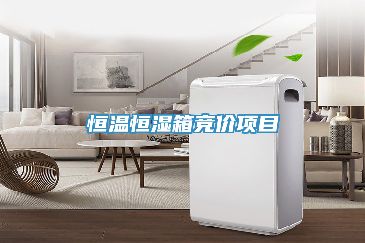 恒溫恒濕箱競價項目