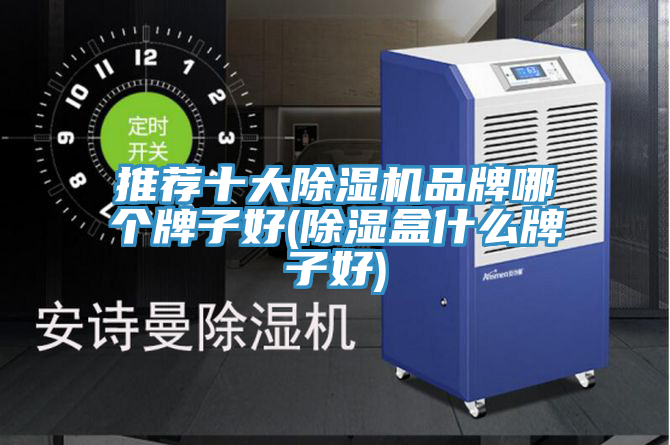 推薦十大除濕機(jī)品牌哪個(gè)牌子好(除濕盒什么牌子好)