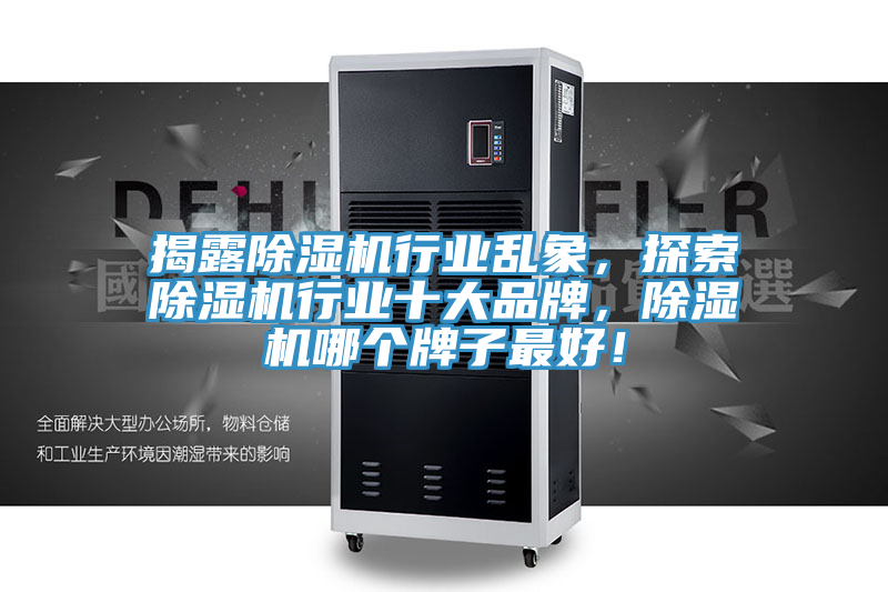 揭露除濕機(jī)行業(yè)亂象，探索除濕機(jī)行業(yè)十大品牌，除濕機(jī)哪個(gè)牌子最好！