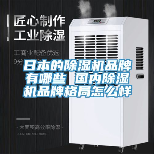 日本的除濕機品牌有哪些 國內(nèi)除濕機品牌格局怎么樣