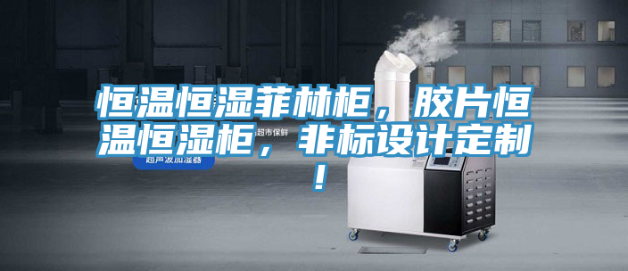 恒溫恒濕菲林柜，膠片恒溫恒濕柜，非標(biāo)設(shè)計(jì)定制！