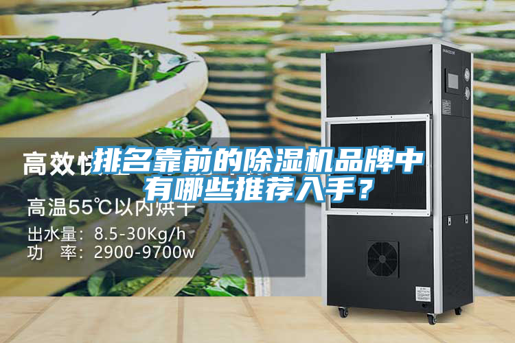 排名靠前的除濕機(jī)品牌中有哪些推薦入手？