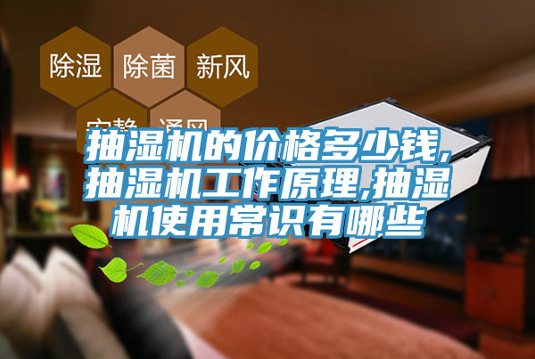 抽濕機(jī)的價(jià)格多少錢(qián),抽濕機(jī)工作原理,抽濕機(jī)使用常識(shí)有哪些