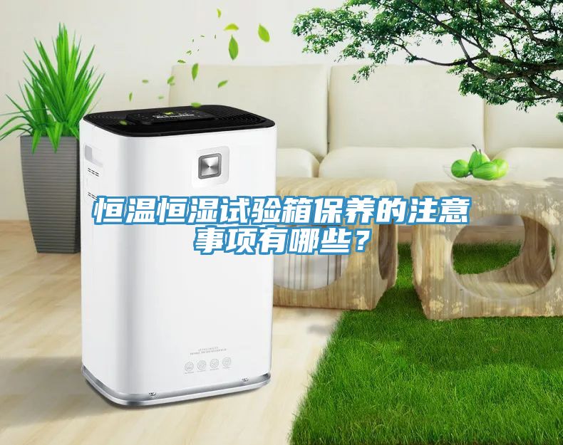 恒溫恒濕試驗(yàn)箱保養(yǎng)的注意事項(xiàng)有哪些？