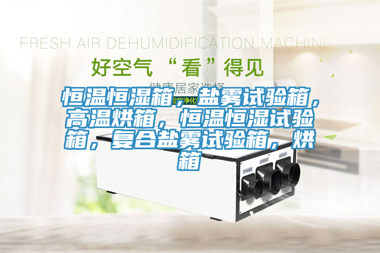 恒溫恒濕箱，鹽霧試驗(yàn)箱，高溫烘箱，恒溫恒濕試驗(yàn)箱，復(fù)合鹽霧試驗(yàn)箱，烘箱