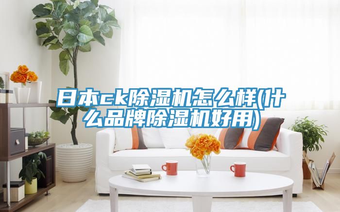 日本ck除濕機怎么樣(什么品牌除濕機好用)
