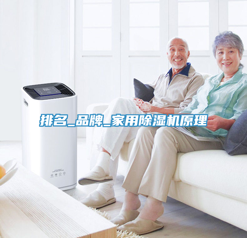 排名_品牌_家用除濕機(jī)原理