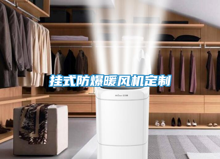 掛式防爆暖風(fēng)機(jī)定制