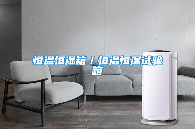 恒溫恒濕箱／恒溫恒濕試驗(yàn)箱
