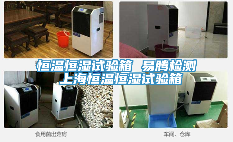 恒溫恒濕試驗(yàn)箱 易騰檢測 上海恒溫恒濕試驗(yàn)箱