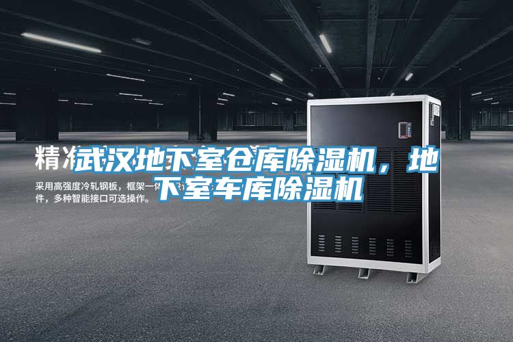 武漢地下室倉庫除濕機，地下室車庫除濕機