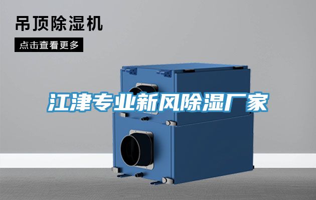 江津?qū)I(yè)新風除濕廠家