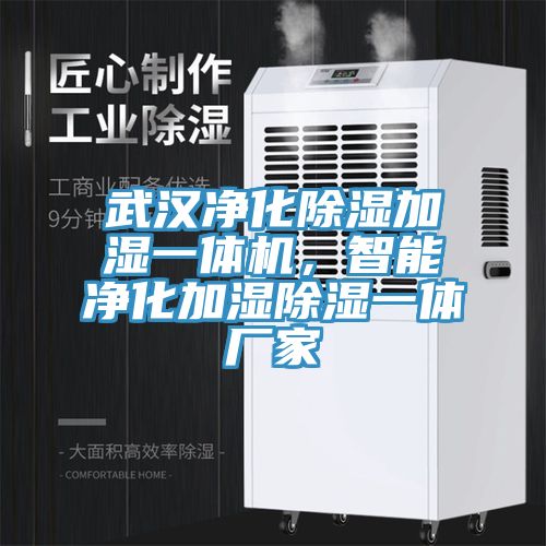武漢凈化除濕加濕一體機，智能凈化加濕除濕一體廠家