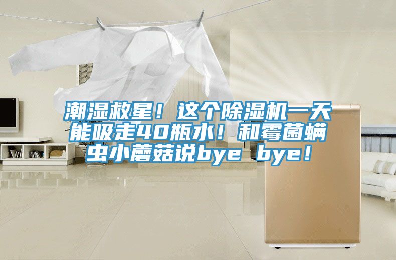 潮濕救星！這個(gè)除濕機(jī)一天能吸走40瓶水！和霉菌螨蟲(chóng)小蘑菇說(shuō)bye bye！