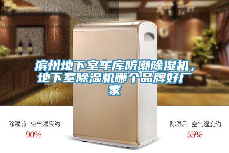 濱州地下室車庫防潮除濕機(jī)，地下室除濕機(jī)哪個(gè)品牌好廠家