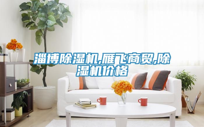 淄博除濕機(jī),雁飛商貿(mào),除濕機(jī)價(jià)格