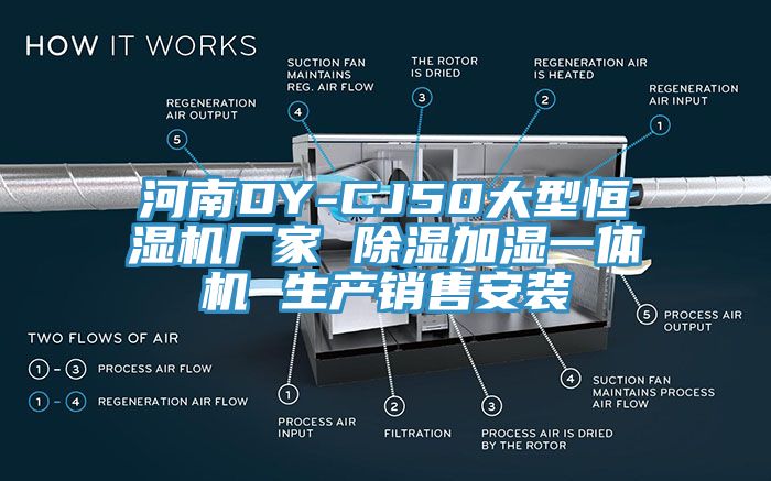 河南DY-CJ50大型恒濕機(jī)廠(chǎng)家 除濕加濕一體機(jī) 生產(chǎn)銷(xiāo)售安裝