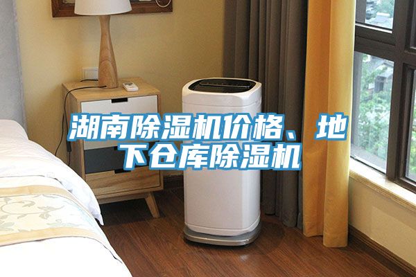 湖南除濕機(jī)價(jià)格、地下倉(cāng)庫(kù)除濕機(jī)