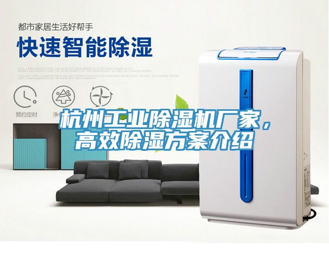 杭州工業(yè)除濕機廠家，高效除濕方案介紹