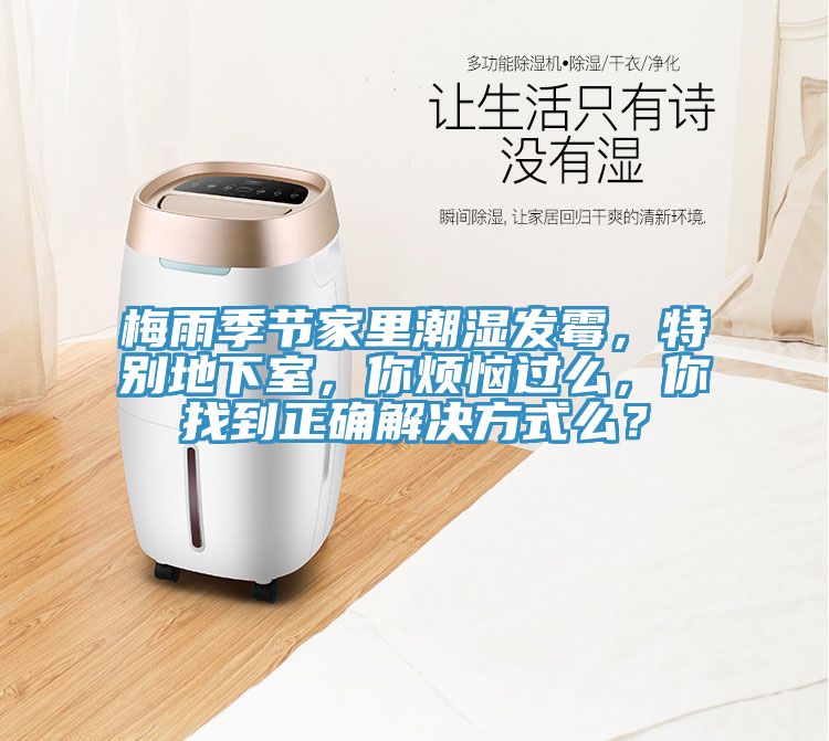 梅雨季節(jié)家里潮濕發(fā)霉，特別地下室，你煩惱過么，你找到正確解決方式么？