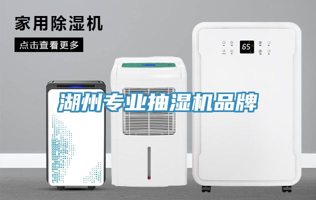湖州專業(yè)抽濕機(jī)品牌
