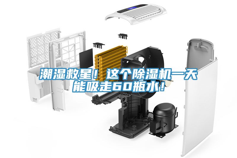 潮濕救星！這個(gè)除濕機(jī)一天能吸走60瓶水！