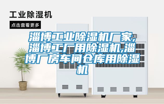 淄博工業(yè)除濕機(jī)廠家,淄博工廠用除濕機(jī),淄博廠房車間倉(cāng)庫(kù)用除濕機(jī)