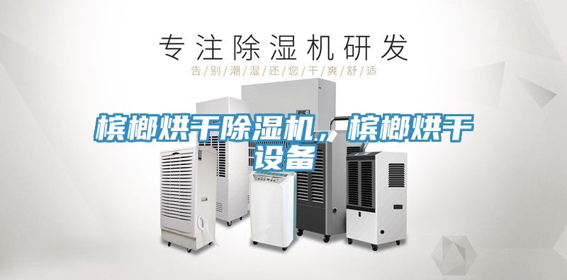 檳榔烘干除濕機(jī)，檳榔烘干設(shè)備