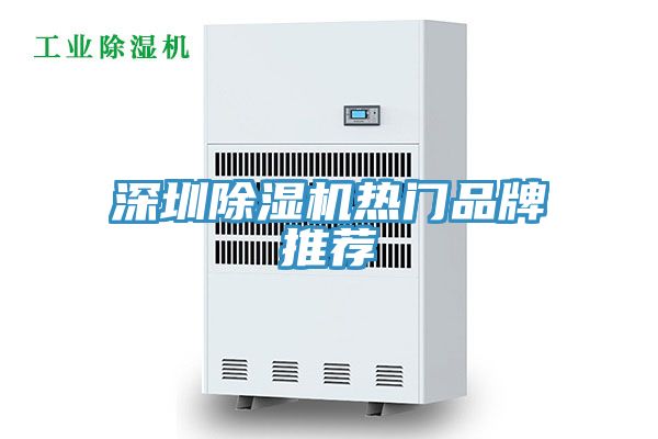深圳除濕機熱門品牌推薦