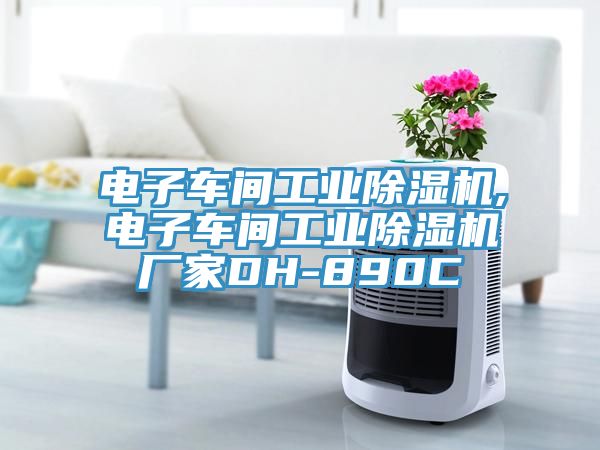 電子車(chē)間工業(yè)除濕機(jī),電子車(chē)間工業(yè)除濕機(jī)廠(chǎng)家DH-890C