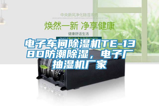 電子車(chē)間除濕機(jī)TE-138D防潮除濕，電子廠(chǎng)抽濕機(jī)廠(chǎng)家