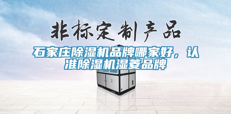 石家莊除濕機(jī)品牌哪家好，認(rèn)準(zhǔn)除濕機(jī)濕菱品牌