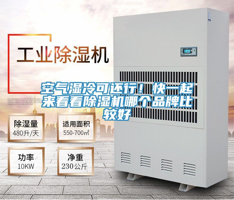 空氣濕冷可還行！快一起來看看除濕機(jī)哪個(gè)品牌比較好