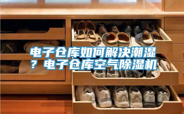 電子倉(cāng)庫(kù)如何解決潮濕？電子倉(cāng)庫(kù)空氣除濕機(jī)