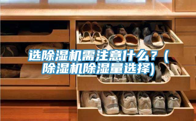 選除濕機(jī)需注意什么？(除濕機(jī)除濕量選擇)