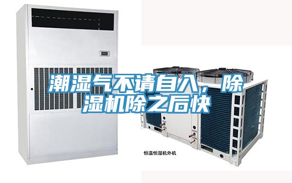 潮濕氣不請(qǐng)自入，除濕機(jī)除之后快