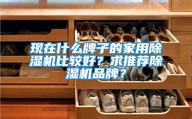 現(xiàn)在什么牌子的家用除濕機比較好？求推薦除濕機品牌？