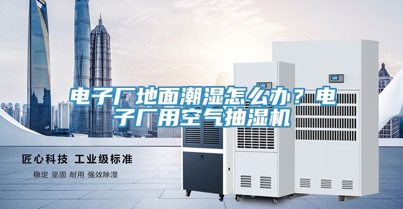 電子廠地面潮濕怎么辦？電子廠用空氣抽濕機(jī)