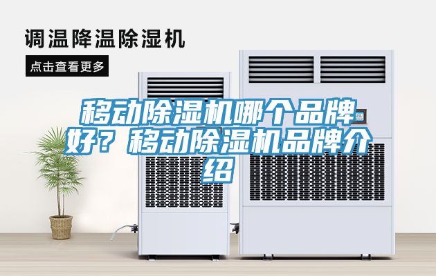 移動(dòng)除濕機(jī)哪個(gè)品牌好？移動(dòng)除濕機(jī)品牌介紹