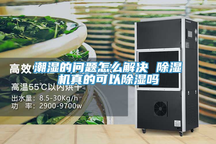 潮濕的問(wèn)題怎么解決 除濕機(jī)真的可以除濕嗎
