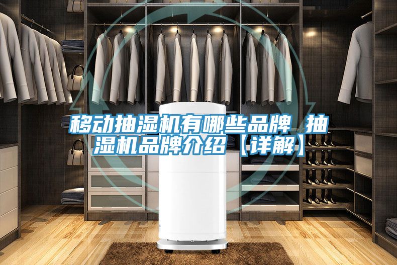 移動抽濕機(jī)有哪些品牌 抽濕機(jī)品牌介紹【詳解】
