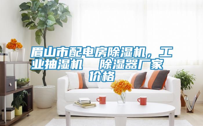 眉山市配電房除濕機，工業(yè)抽濕機  除濕器廠家 價格
